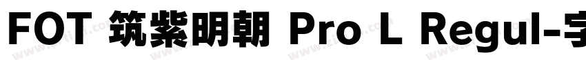 FOT 筑紫明朝 Pro L Regul字体转换